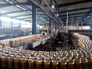 湛河區(qū)食藥監(jiān)局開展四鈴啤酒食品安全專項(xiàng)檢查指導(dǎo)