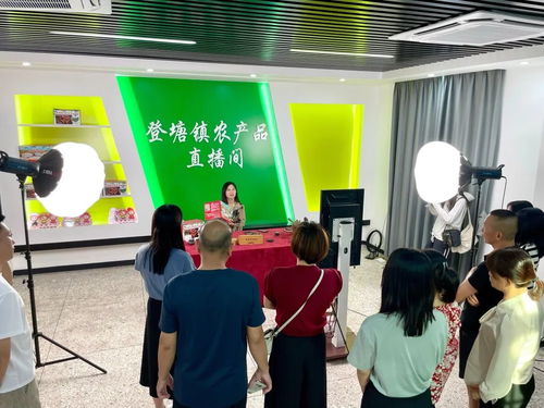 廣東 互聯網大省的強村網事與教育信息咨詢服務